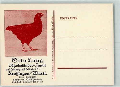 Trossingen Otto Lang Rhodeländer Zucht AK