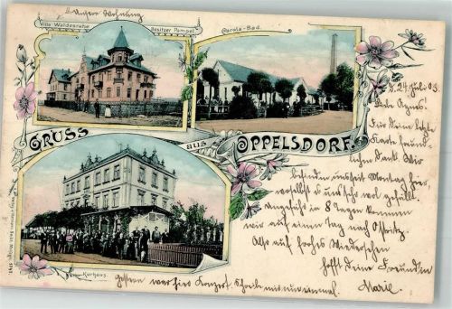Bad Oppelsdorf 1903 Villa Waldesruhe Carola-Bad Kurhaus