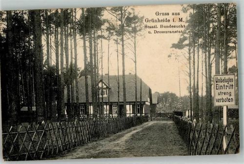 Grünheide 1916 Staatliche Hundezucht u. Dressuranstalt