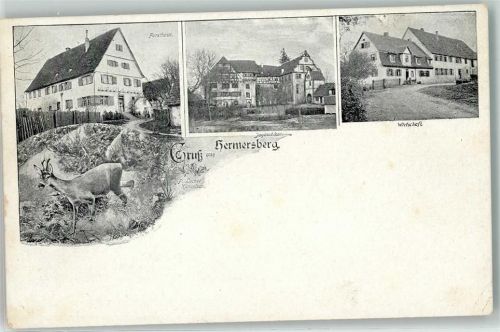 74676 W7119 Niedernhall - Forsthaus Reh Jagdschloss Hemersberg Gasthaus
