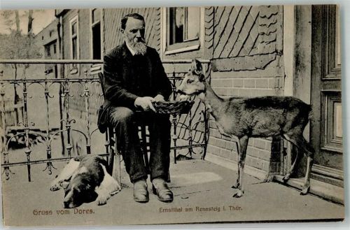 Ernstthal Gruß vom Gasthaus Dores Hund Rehkitz-Fütterung