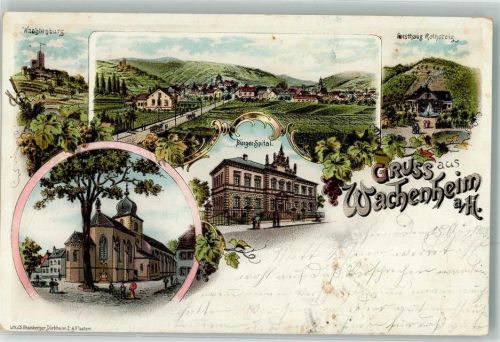 67098 W6706 Wachenheim an der Weinstraße 1905 Lithographie Bürgerspital Wachtenburg Forsthaus Rothsteg