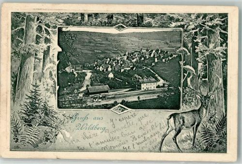 Wildberg 1903 Passepartout Hirsch Bahnhof Wildberg