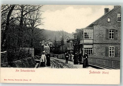 Bad Suderode Am Schwedderholz