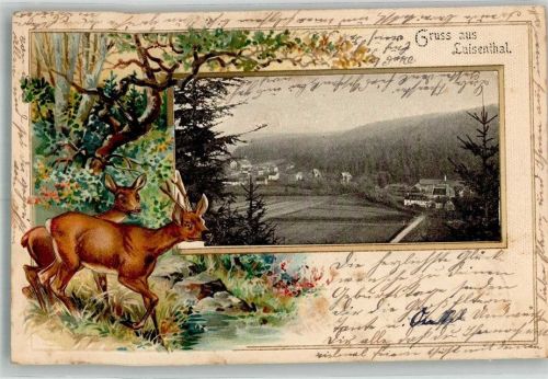 Luisenthal 1905 Luisenthal Rehbock Reh Passepartout