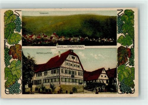 Strümpfelbach Gasthaus zum Hirsch Trauben