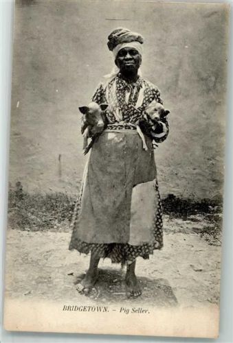 Barbados - Pig Seller Schweine Verkäuferin Brigdetown