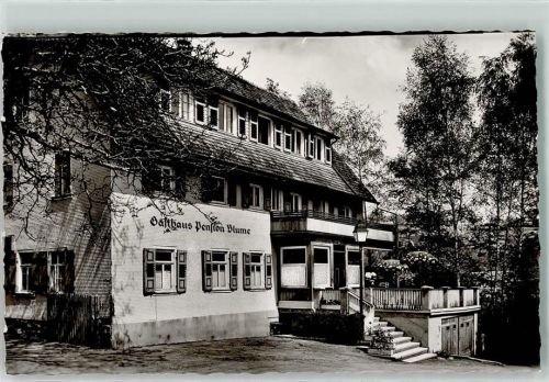 Dornstetten Gasthaus Pension zur Blume