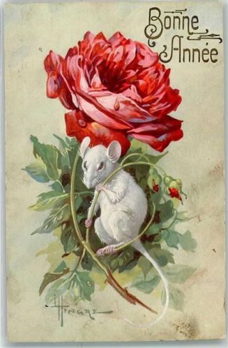 Weiße Maus Bonne Annee Rose AK