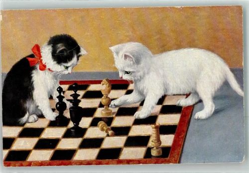 Katzen Bahnpost Zug Nr.943 Dresden Neukirchen