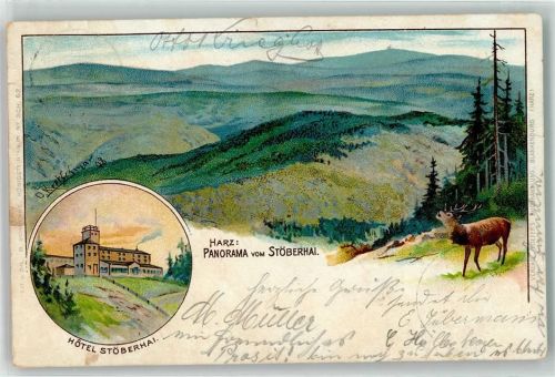 37447 W3426 Wieda 1899 Lithographie Hotel Stöberhai Hirsch