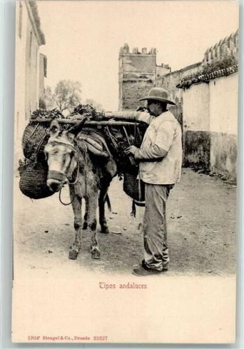 Tipos andaluces Lastenmaultier