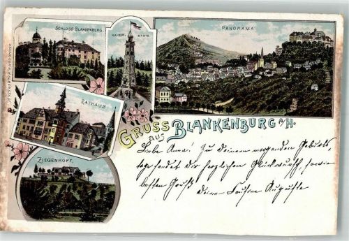 Blankenburg 1897 Lithographie Schloss Kaiser Warte Ziegenkopf Rathaus beschnitten
