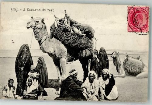 Aden Foto AK Tracht Kamel Karawane Briefmarke Bildseite