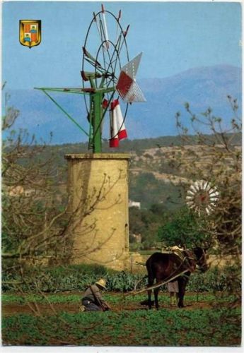 um 1996 Mallorca, Bauer mit Esel, Windmühle