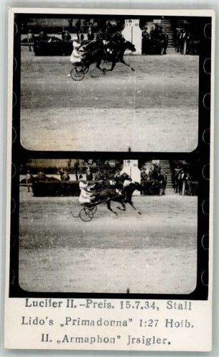 Zielfoto Lucifer II Preis 1934 Stall Lidos Primadorna