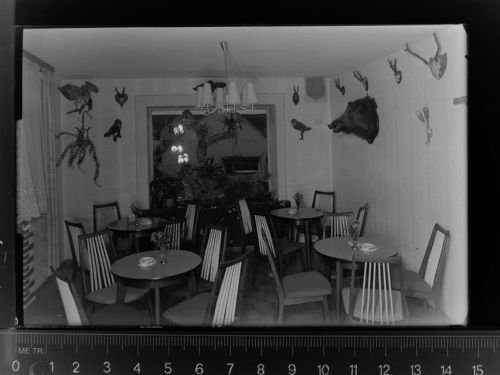 Steinebach Cafe zum Steinbachtal