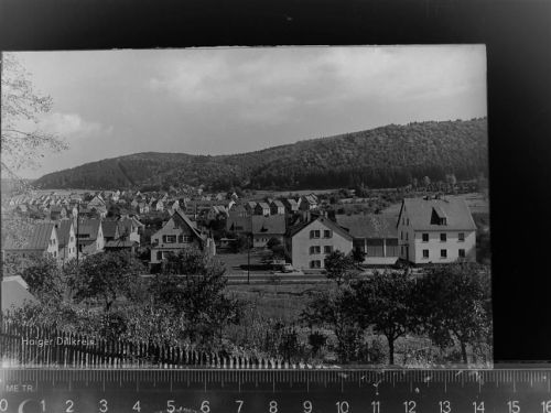 Haiger