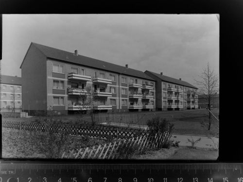 40789 W4019 Baumberg , Rheinl GLASNEGATIV