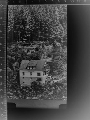 Willingen Haus am walde