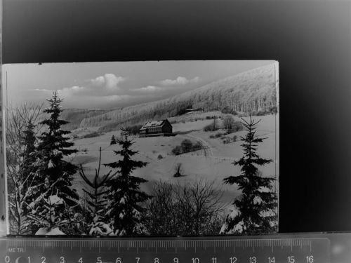 Willingen