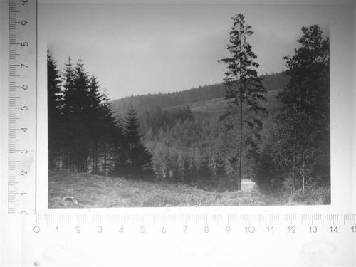49176 W4517 Hilter am Teutoburger Wald SW-Dia (Kunststoff) KEINE AK