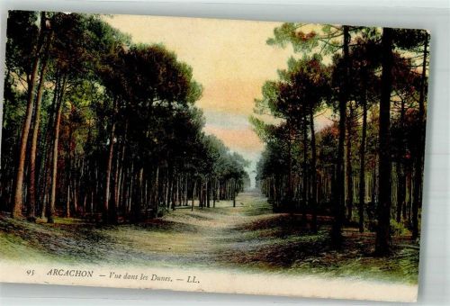 Arcachon 1908 Vue dans les Dunes