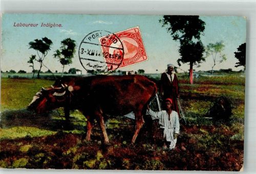 Port Said 1917 Tracht Bauern Rinder Marke bildseitig