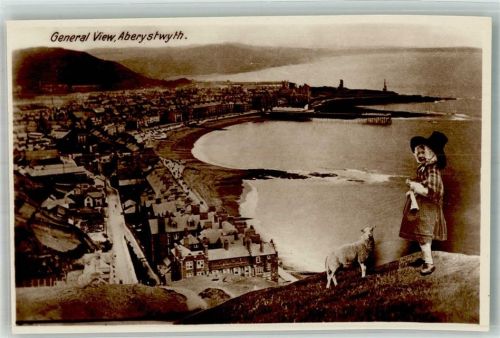 Aberystwyth Tracht Schaf General View