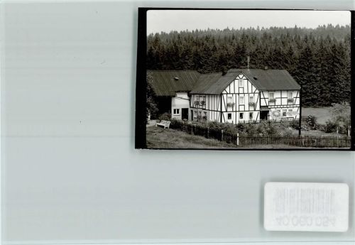 57339 W5927 Zinse FOTO KEINE AK Pension Hofius