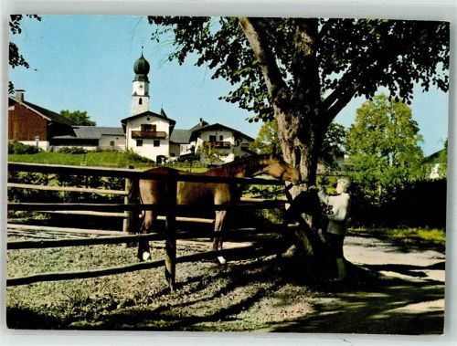 Chieming Reitschule Gut Ising