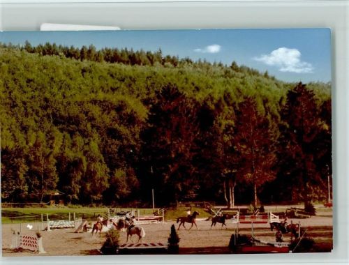 Oberbieber Springreiten