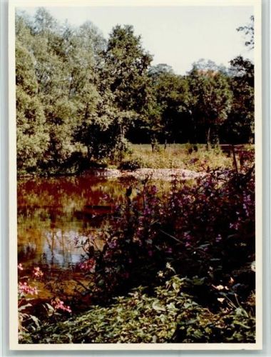 Niederorke Teich