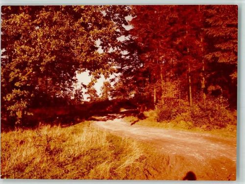 Allagen Waldwanderweg