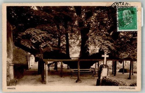 Annaberg Auferstehungslinde