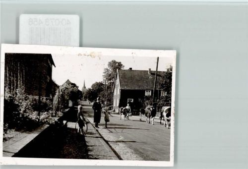 Drabenderhöhe Kuhherde trabt durchs Dorf