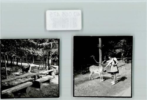 Edersee Wildpark