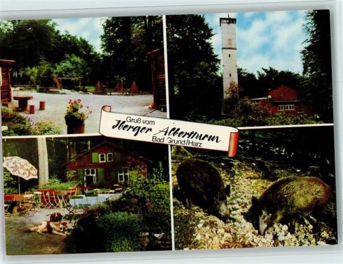 Bad Grund Iberger Albertturm