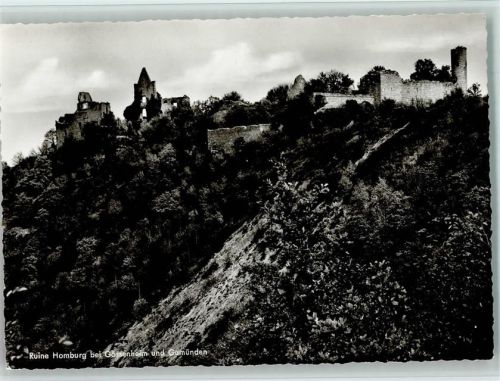 Gössenheim Ruine Homburg