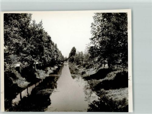 Augustfehn Foto TK80