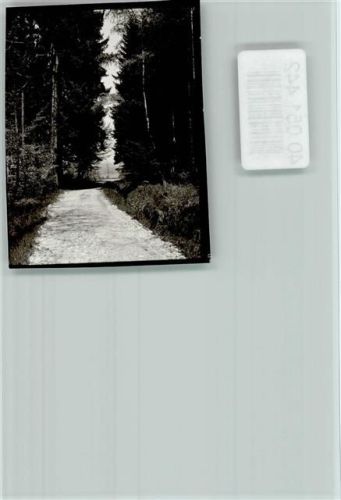Höhenried Tannenwaldweg