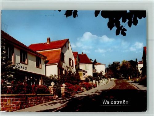 Bad König Waldstraße