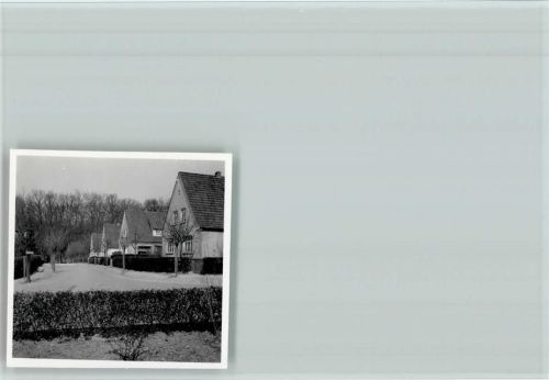 Harpstedt Foto