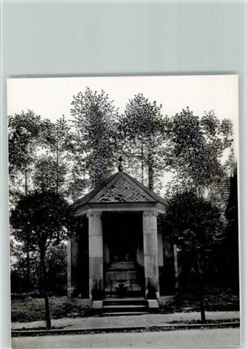 Schapdetten Foto