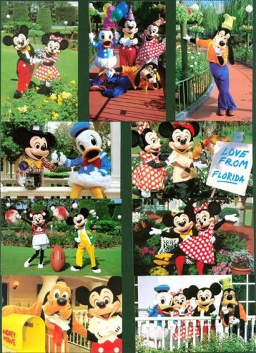 Walt Disney cartoon stars Lot mit 13 AK; gute Erhaltung, nicht gelaufen