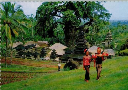 Bali junge Frauen Terrassenfelder