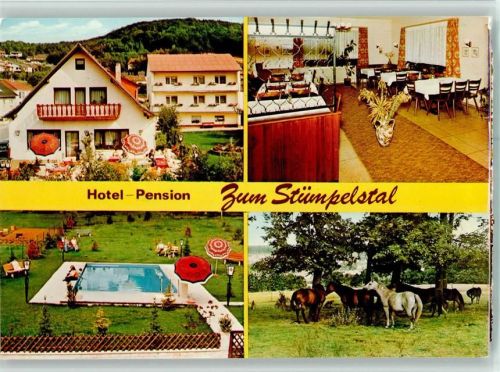 Michelbach Hotel Pension Zum Stümpelstal Innenaufnahme Pool Pferde 4-Bildaufnahme