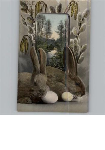 Hase