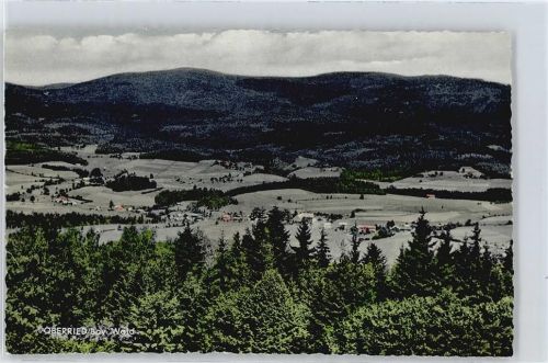 Oberried
