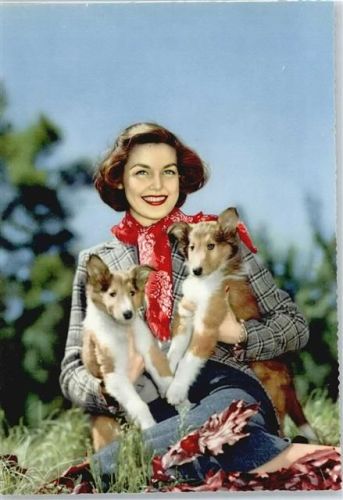 Girl mit Hunden